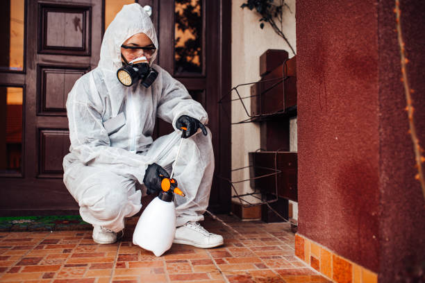 Reliable Cockroach Control contractor in Lake of the Pines, CA by Nex Pest Control